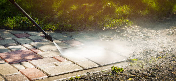 Reliable Linden, AL Pressure washing Solutions